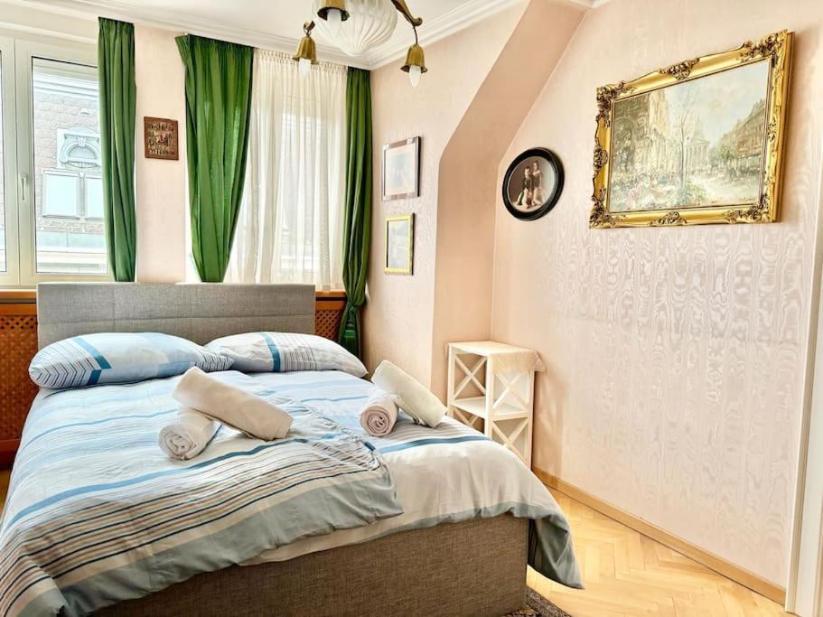 110 M2 3 Bedroom With Cathedral View Apartment Wien